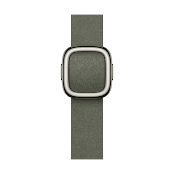 42mm Sage Gray Modern Buckle - Large